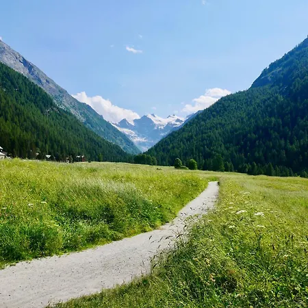 Nuovo Moderno A * Cogne