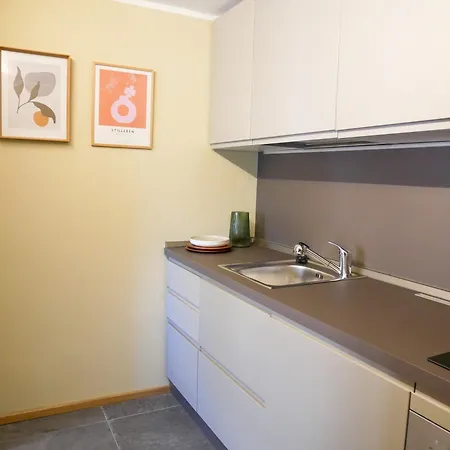 Apartment Nuovo Moderno A Cogne